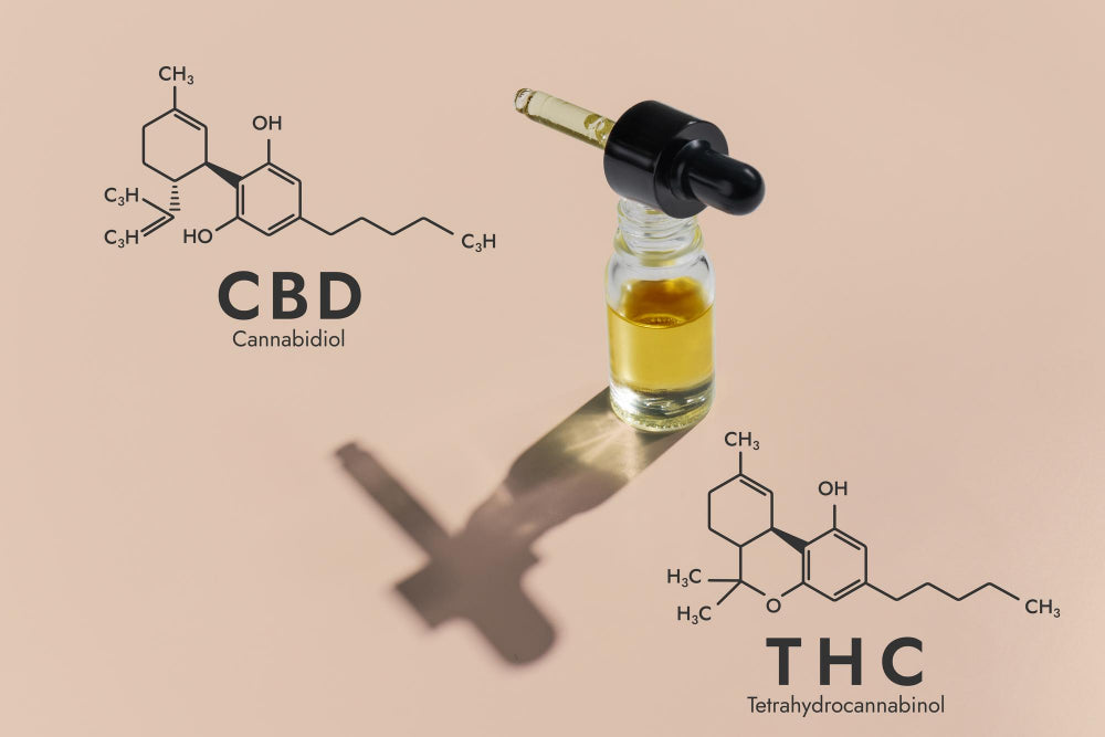 Demystifying Hemp Cannabinoids: Understanding the Differences